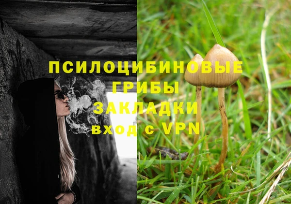 прущая мука Абаза