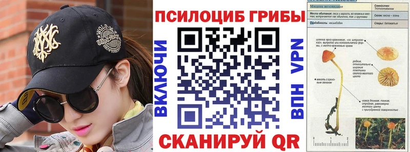 Галлюциногенные грибы GOLDEN TEACHER  наркотики  Абдулино 